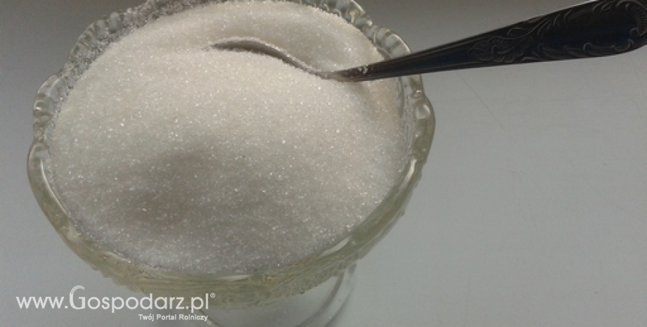 Produkcja cukru na Ukrainie wzrośnie do 2 mln ton
