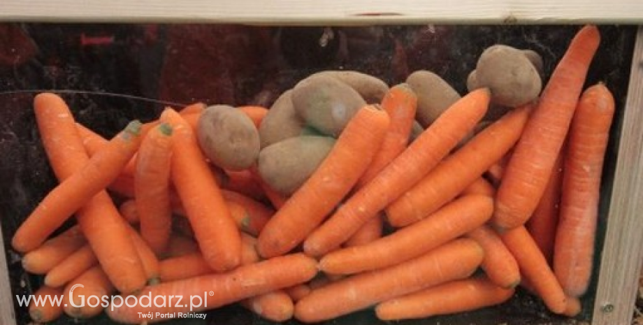 Ceny warzyw w Polsce (20-27.05.2014)
