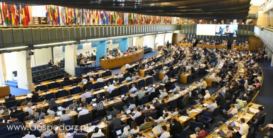 39. sesja Komisji Kodeksu Żywnościowego FAO/WHO