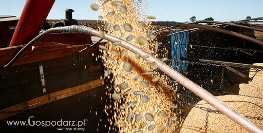 CBoT: Wzrost notowań kukurydzy i soi (7.10.2014)