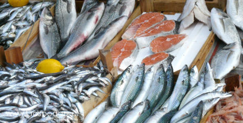 Handel rybami z Polski (I-IV 2015)