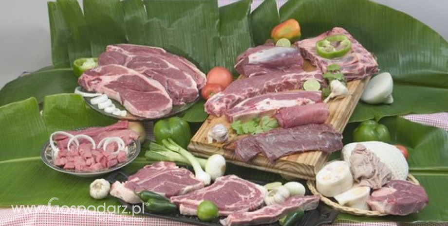 Ceny mięsa w Unii Europejskiej i na rynku światowym (marzec 2013)