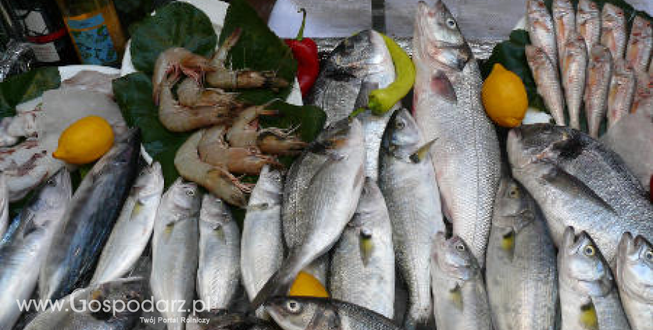 Eksport ryb, owoców morza oraz ich przetworów wzrósł do 254,5 tys. ton o wartości 3,68 mld zł (I-VII 2015)