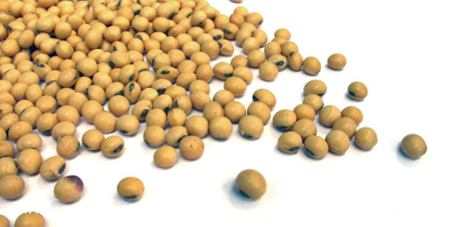 USDA prognozuje ogromne zbiory zbóż i oleistych w sezonie 2014/2015