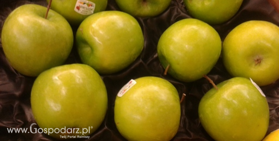 Ukraina: Rekordowo wysoki import jabłek
