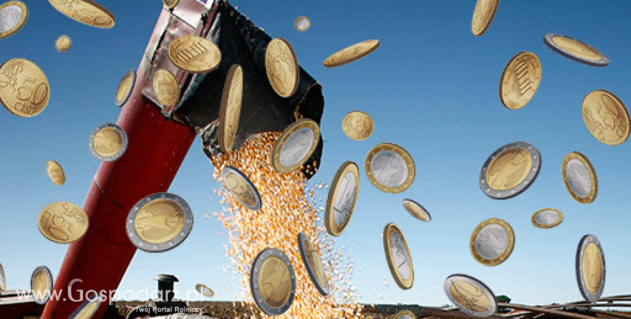 Kapitał spekulacyjny odpowiada za zwyżki notowań zbóż i soi