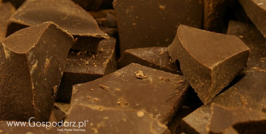 Flawanole z kakao korzystne dla zdrowia