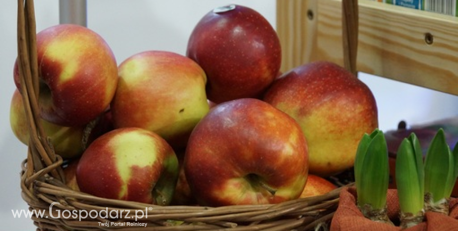 Ceny jabłek i gruszek w Polsce (17.05.2016)