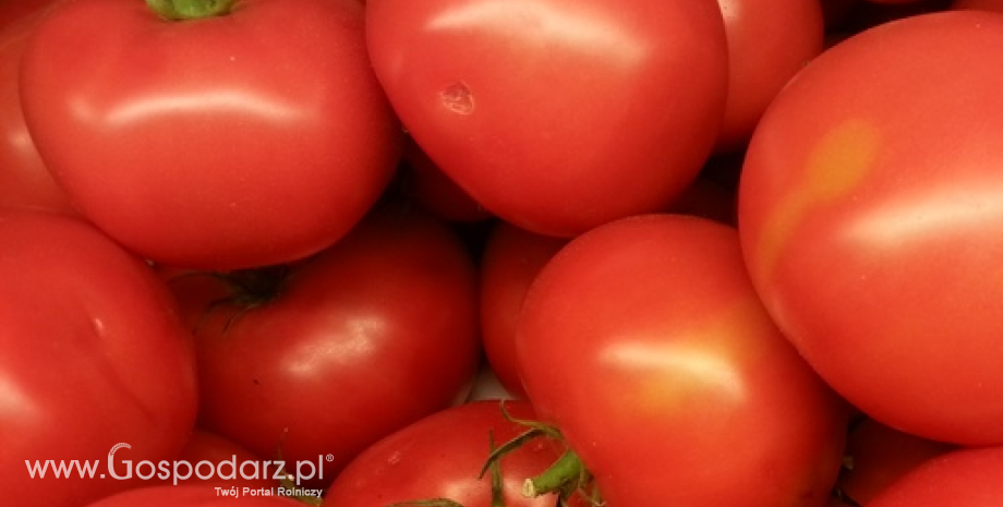 Ceny warzyw w Polsce (28.10-04.11.2014)