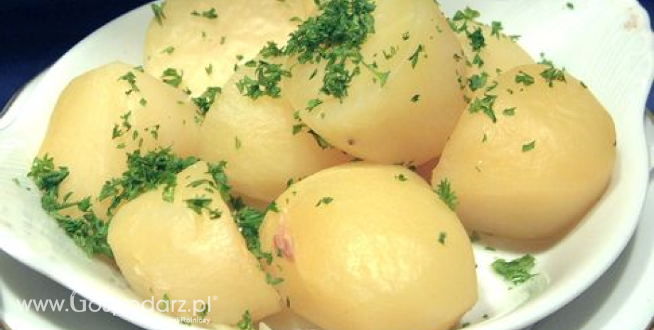 Wzrost cen ziemniaków w Polsce (19-29.08.2013)