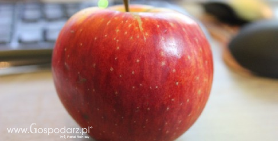 Ceny jabłek, malin, śliwek, gruszek i brzoskwiń w Polsce (24.09-01.10.2013)