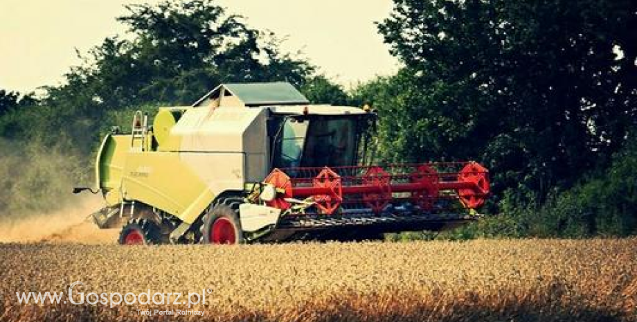 Zbiory i eksport zbóż z Francji najgorsze od pięciu lat