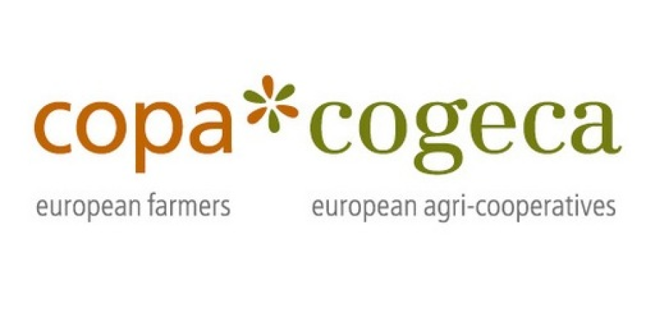 Copa-Cogeca: Posiedzenie grupy roboczej 