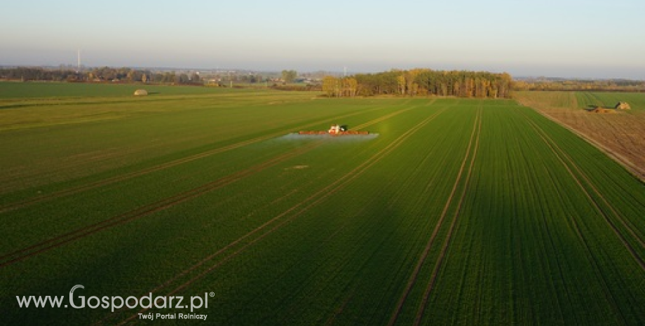 Wycofanie z rynku środków ochrony roślin może zagrozić produkcji rolnej w Polsce