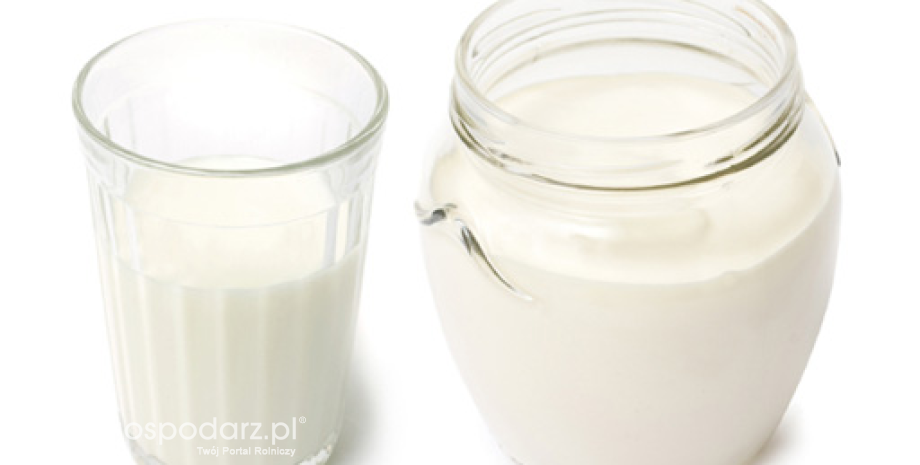Rekordowy eksport płynnego mleka i śmietany z Polski