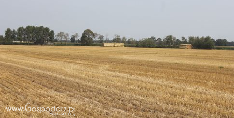 Stabilny wzrost cen gruntów w Polsce w 2012 roku