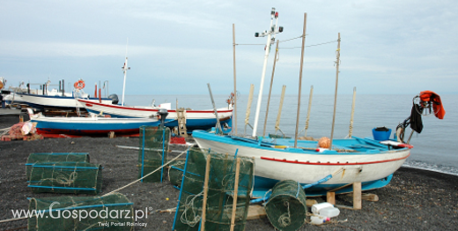 Koniec naboru wniosków o rekompensaty za tymczasowe zaprzestanie połowów na wodach przybrzeżnych Bałtyku oraz zalewach: Wiślanym i Szczecińskim