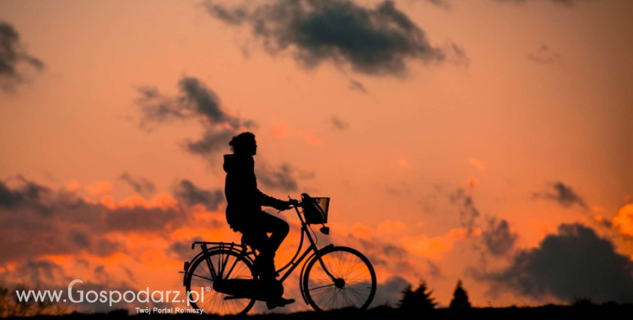 W Polsce jest już 1,1 mln użytkowników rowerów miejskich