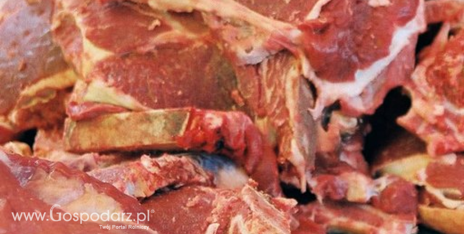 Spadek cen artykułów mięsnych w Polsce i UE