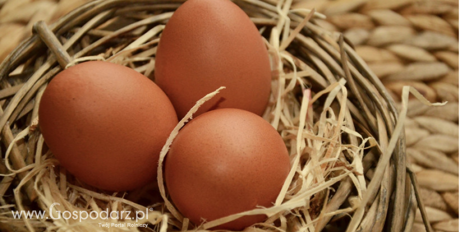 Nadal rosną ceny polskich jaj