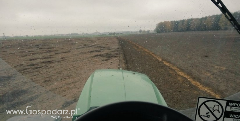 Poprawia się koniunktura w polskim rolnictwie