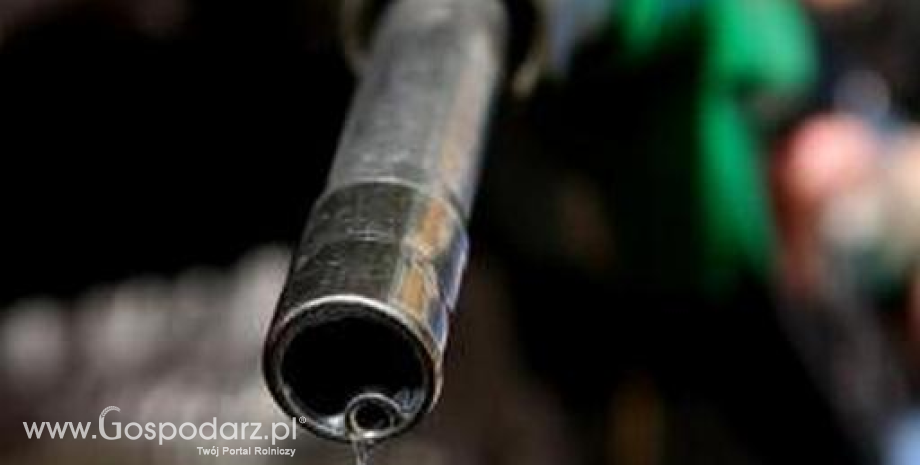 Wzrost cen paliw w Polsce