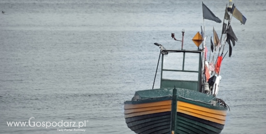 Sejm przyjął nową ustawę o rybołówstwie morskim