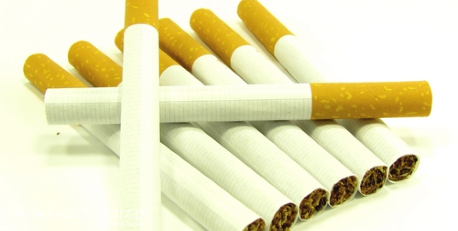 Polska w czołówce producentów wyrobów tytoniowych