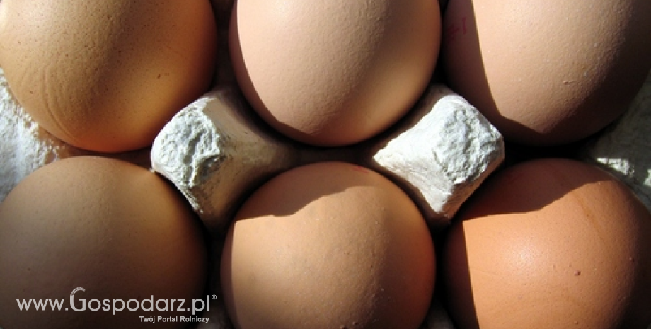 Ceny sprzedaży jaj spożywczych w Polsce (6.11.2016)