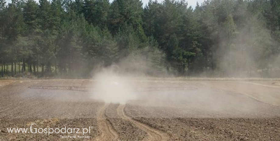Zagrożenie wystąpienia suszy rolniczej na obszarze Polski. Najbardziej narażone strączkowe i ziemniaki