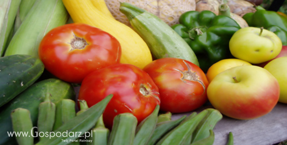 Wzrost importu warzyw i owoców z Hiszpanii do Wielkiej Brytanii