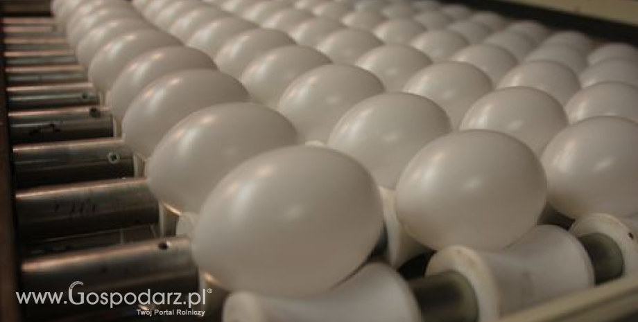 Ceny kurcząt całych i jaj konsumpcyjnych w UE (27.04-04.05.2015)