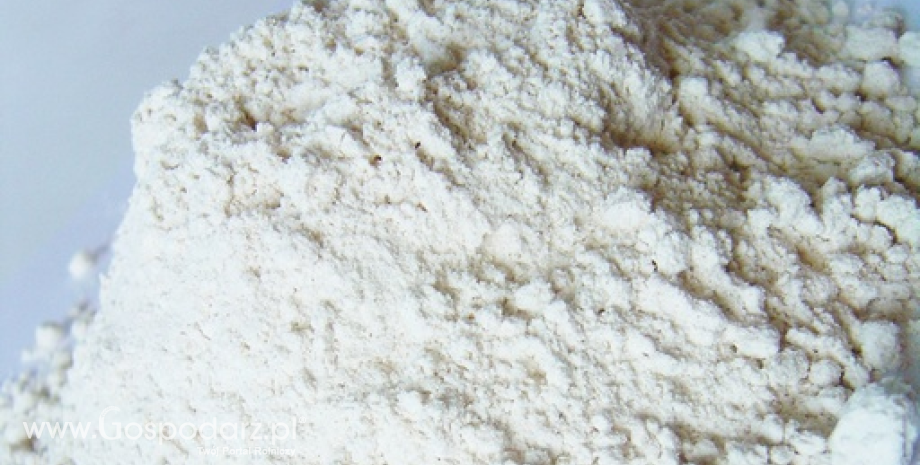 Eksport mąki pszennej. Kazachstan liderem