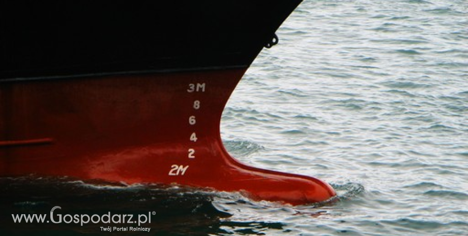 Wysoki udział portów morskich w eksporcie zbóż z Polski