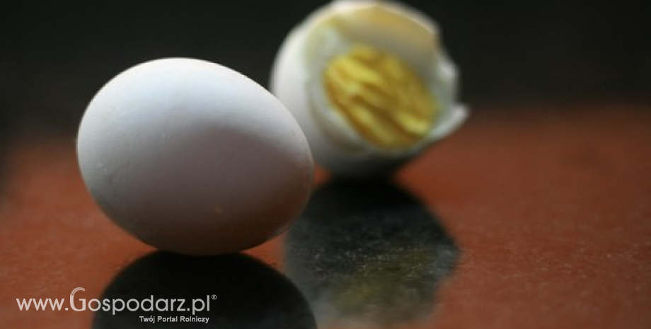 Jajko, czyli złoto do jedzenia