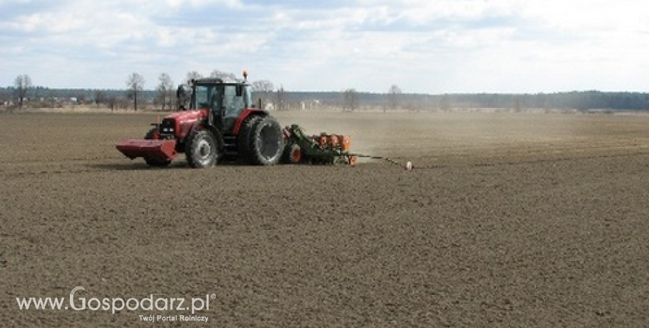 Wynikowy szacunek produkcji głównych ziemiopłodów rolnych i ogrodniczych w 2013 r.