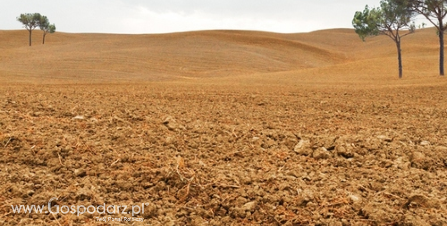 ARiMR: Warunki wsparcia na zakup ziemi w 2014 r.