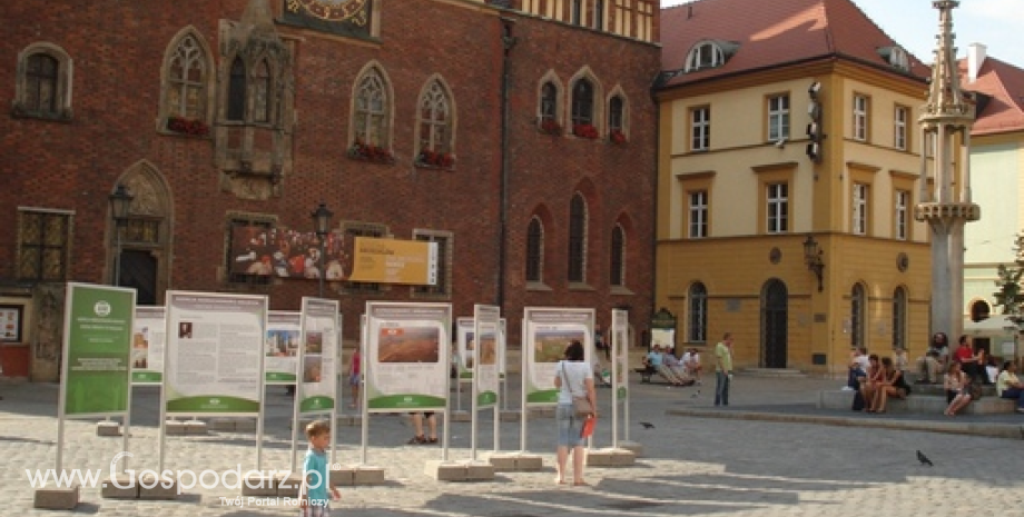Wystawa ANR na rynku we Wrocławiu