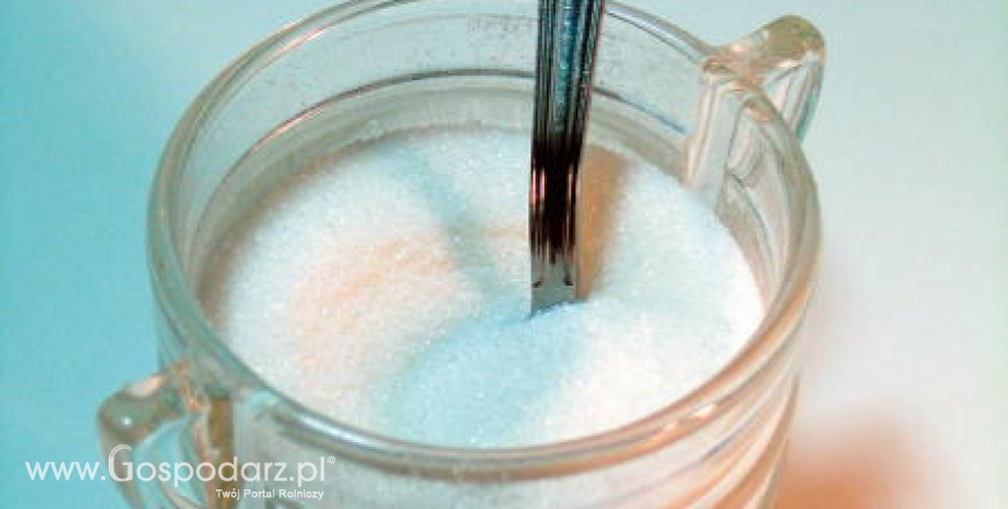 Produkcja cukru na Ukrainie wzrośnie o ponad 40%