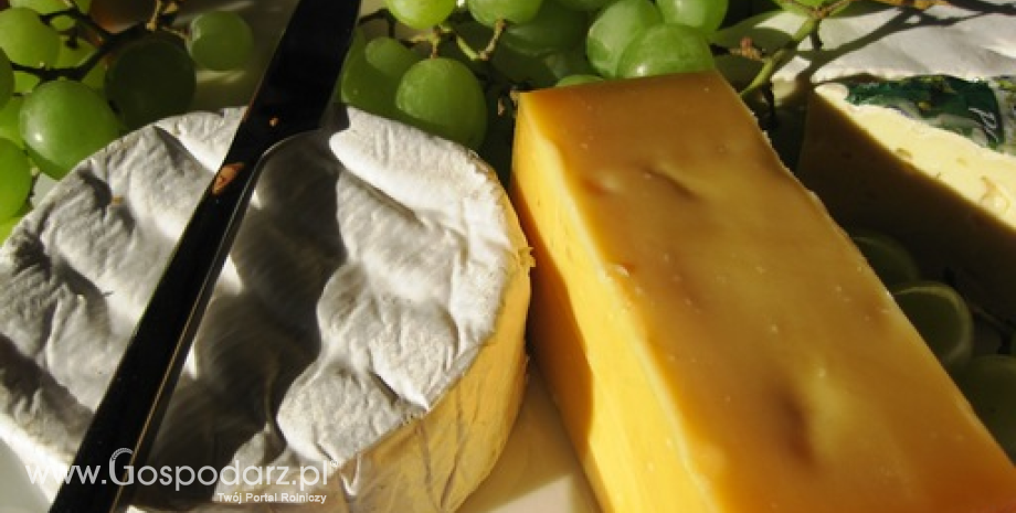 Rekordowy import serów do Polski w 2015 r.