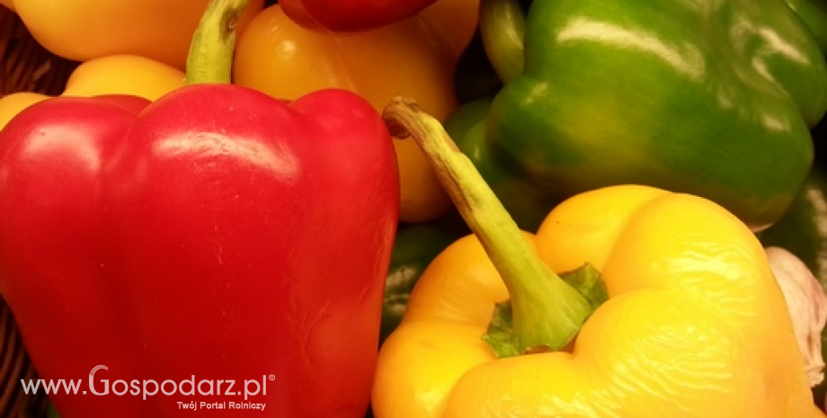 Ceny warzyw w Polsce (14-21.10.2014)