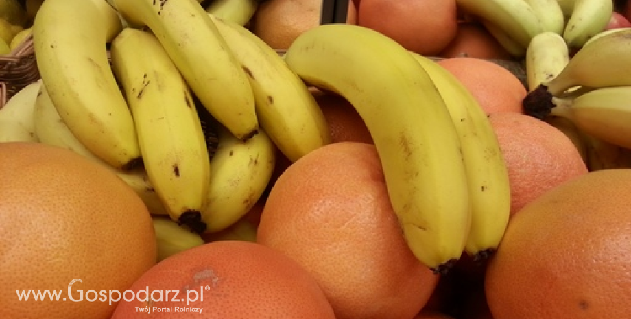 Znaczny spadek importu owoców i warzyw do Rosji