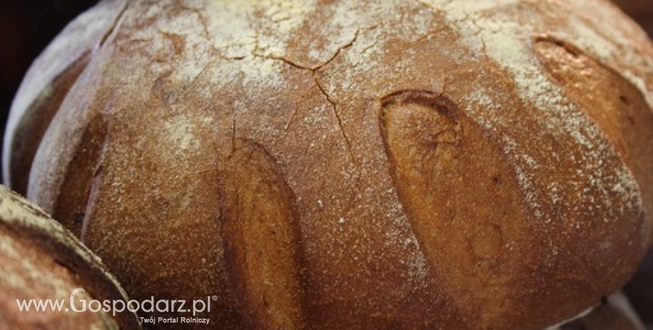 Spożycie pieczywa w Polsce spadło o 30%. Rośnie znaczenie pieczywa produkowanego z ciasta z głębokiego mrożenia