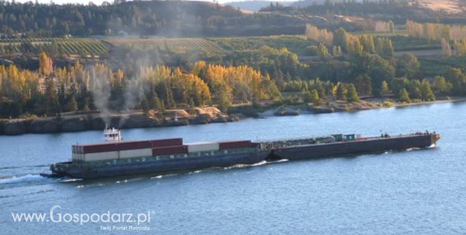 Pierwszy od miesiąca statek handlowy wypłynął z portu w Odessie