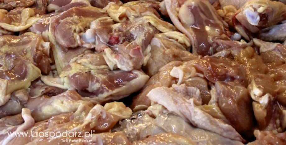 Ceny mięsa wieprzowego, wołowego i drobiowego (03.03.2024)