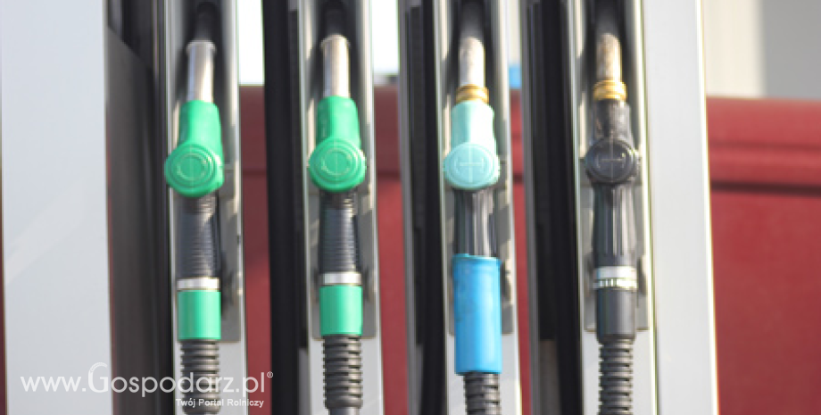 KE rozważa redukcję zużycia biopaliw pierwszej generacji o połowę