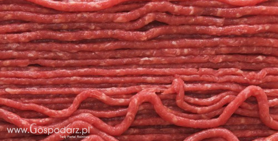Ceny mięsa wieprzowego, wołowego i drobiowego (12.11.2023)