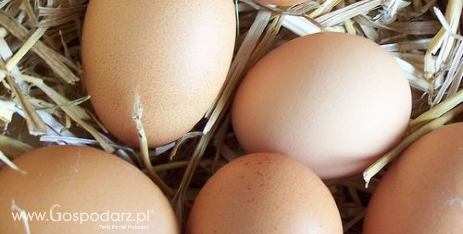 Dramatyczna sytuacja na rynku jaj w Polsce