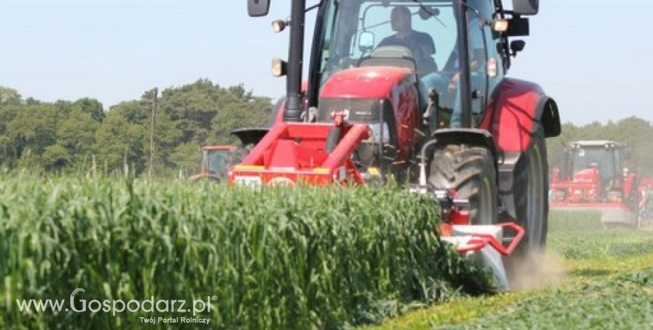 PE poparł kompromisową modyfikację reformy rolnictwa ekologicznego