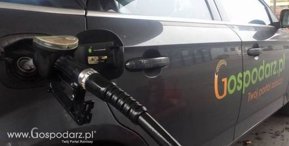Stabilizacja cen paliw na stacjach benzynowych (20.05.2015)